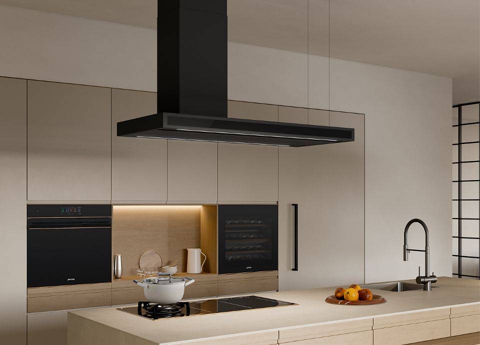 Quelle hotte choisir pour votre cuisine ? Mulhouse 1