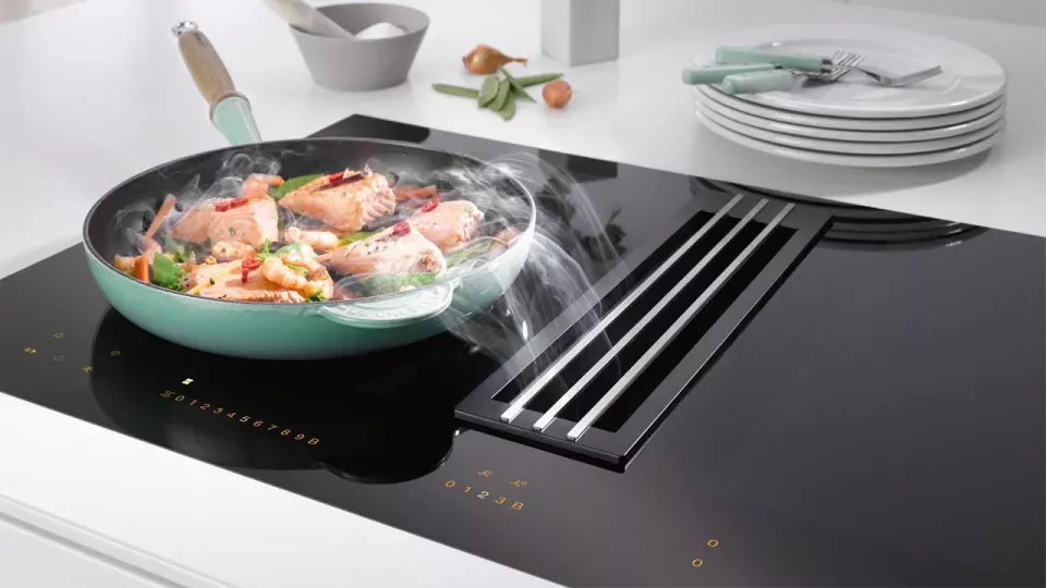 Les différents types de plaque de cuisson laquelle choisir ??? Guebwiller